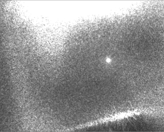 170nm silica particle