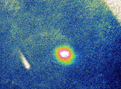 87Rb atoms trapped in a MOT